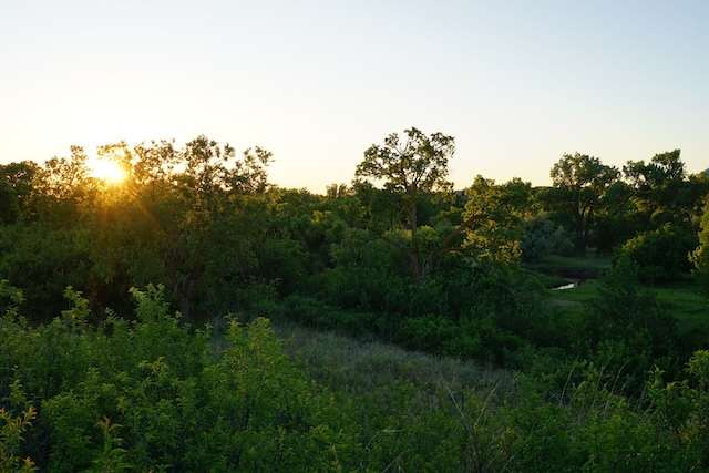Creek Sunset.jpg